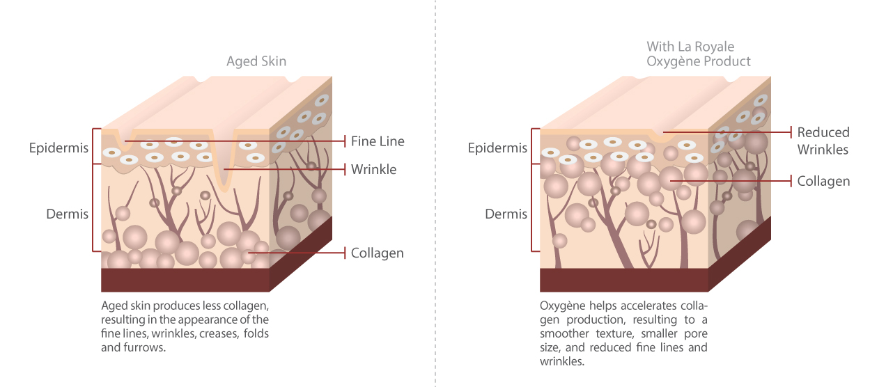 bio-cell-illustration2.jpg bio-cell-illustration2.jpg